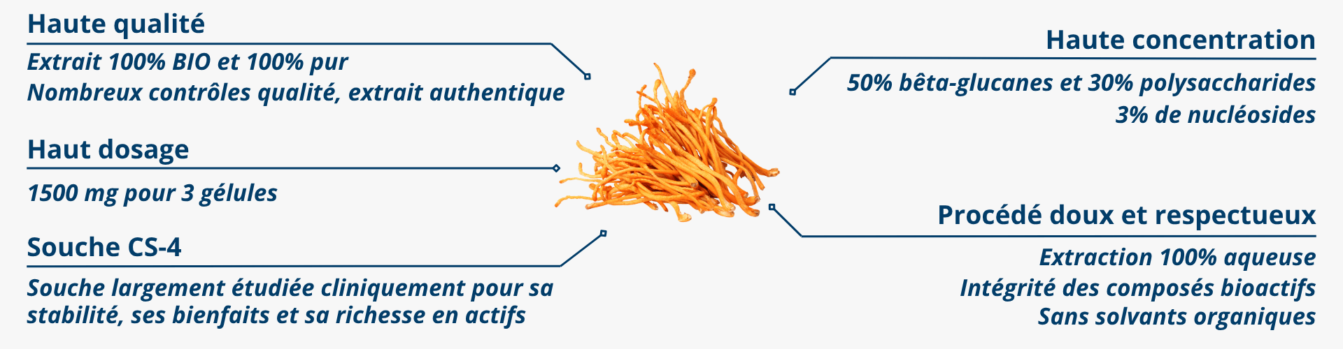 Cordyceps BIO très concentré, souche CS-4